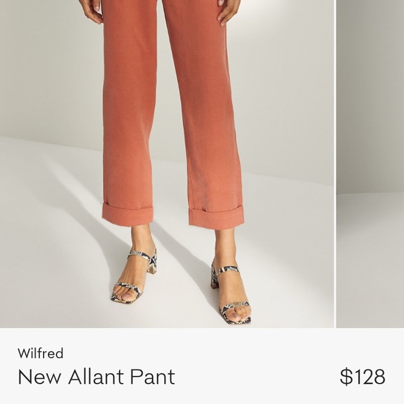Aritzia Allant pant - Picture 5 of 5